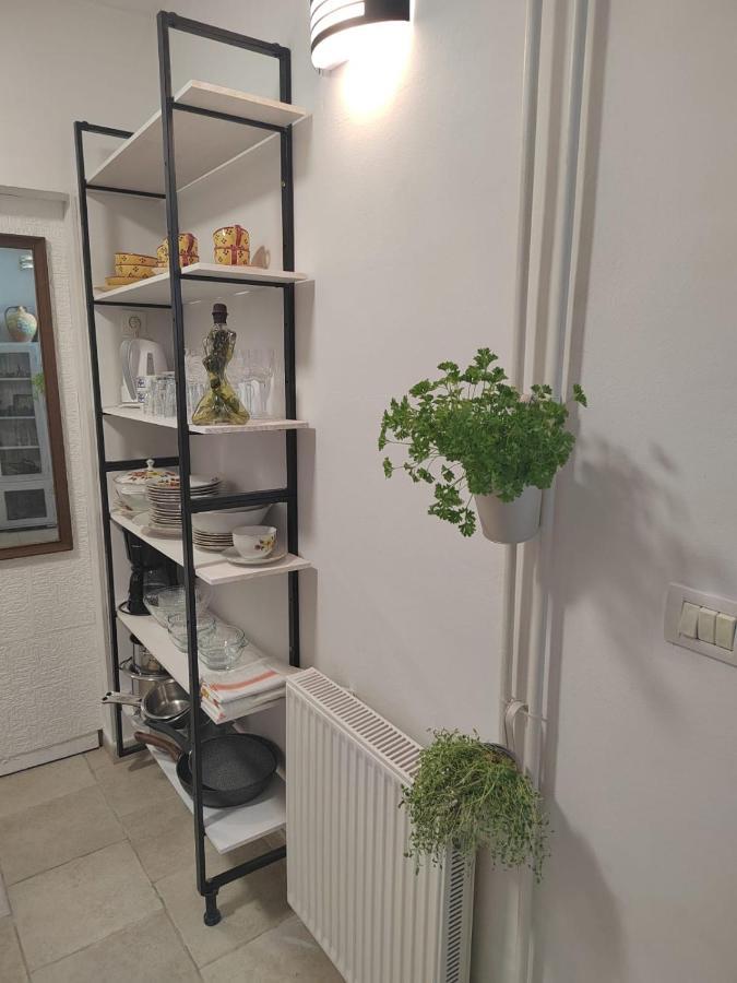 Apartman Brioni 파자나 외부 사진